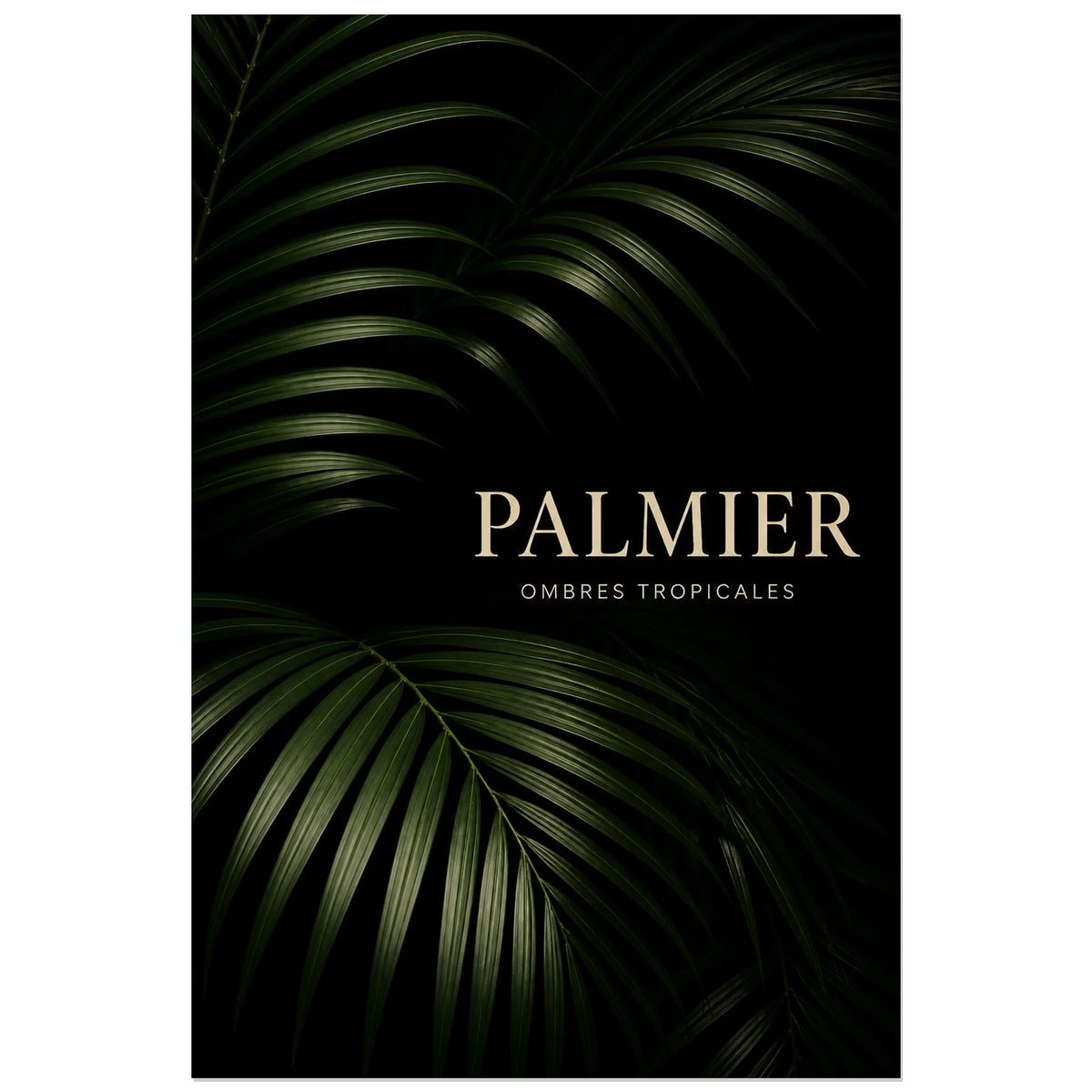 Affiche Palmier – Ombres tropicales, photographie botanique sombre et minimaliste en studio verticale, format 60 × 90 cm