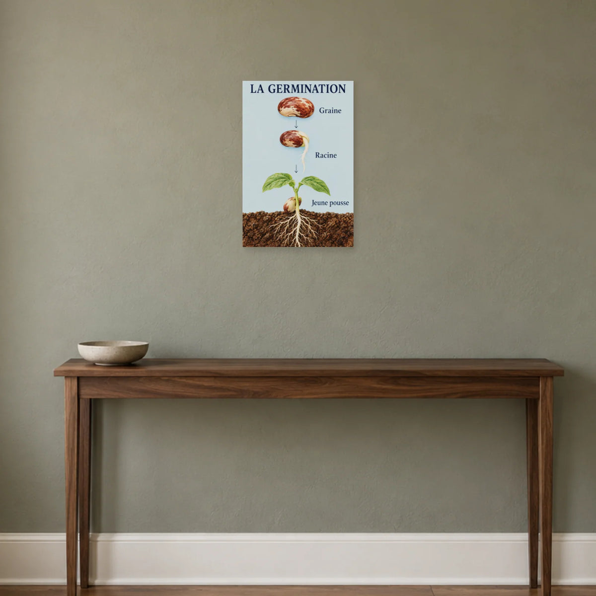Affiche Germination - Le réveil du haricot dans une entrée ou un couloir - Art Virtuoso