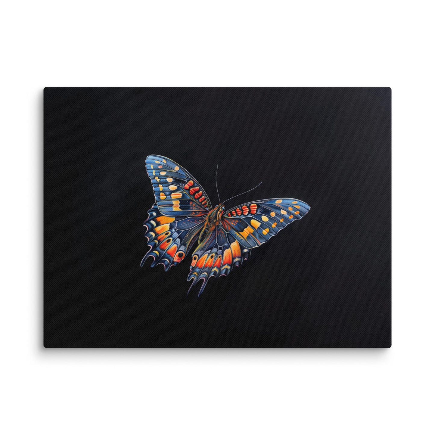 Tableau Sur Fond Noir avec Papillon Éclatant Affiches, reproductions et œuvres graphiques Art Virtuoso S
