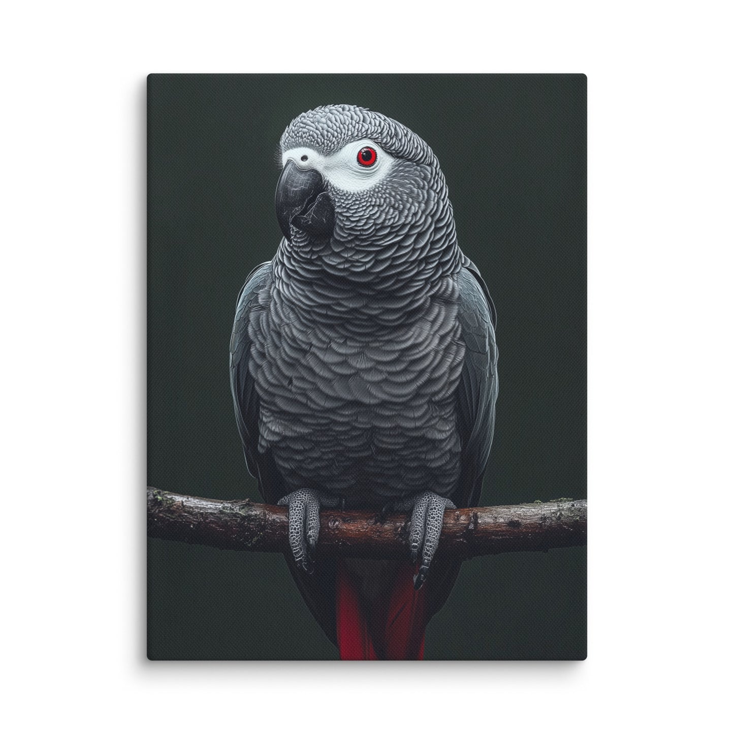 Tableau Gris du Gabon - Perroquet Exotique Affiches, reproductions et œuvres graphiques Art Virtuoso S