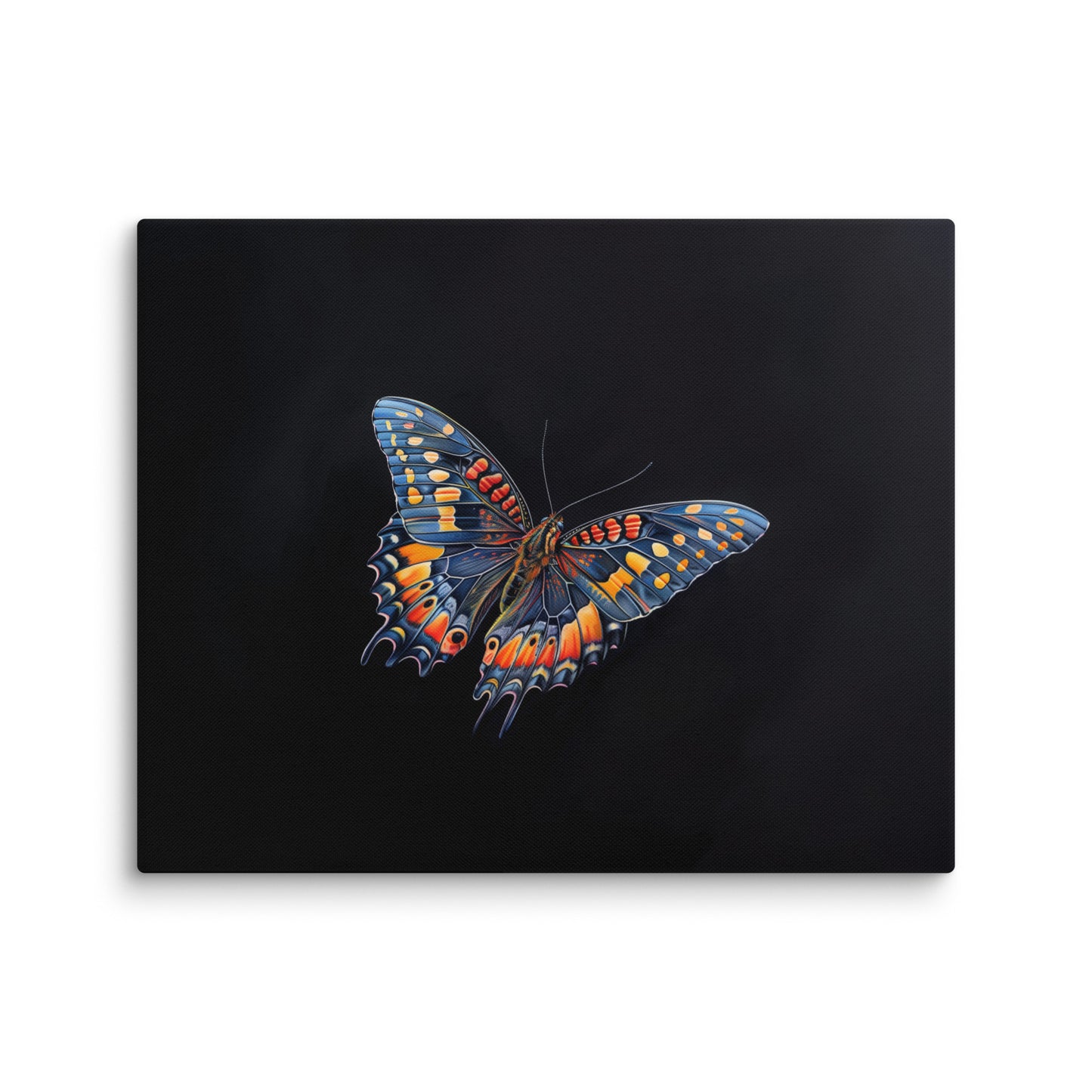 Tableau Sur Fond Noir avec Papillon Éclatant Affiches, reproductions et œuvres graphiques Art Virtuoso M