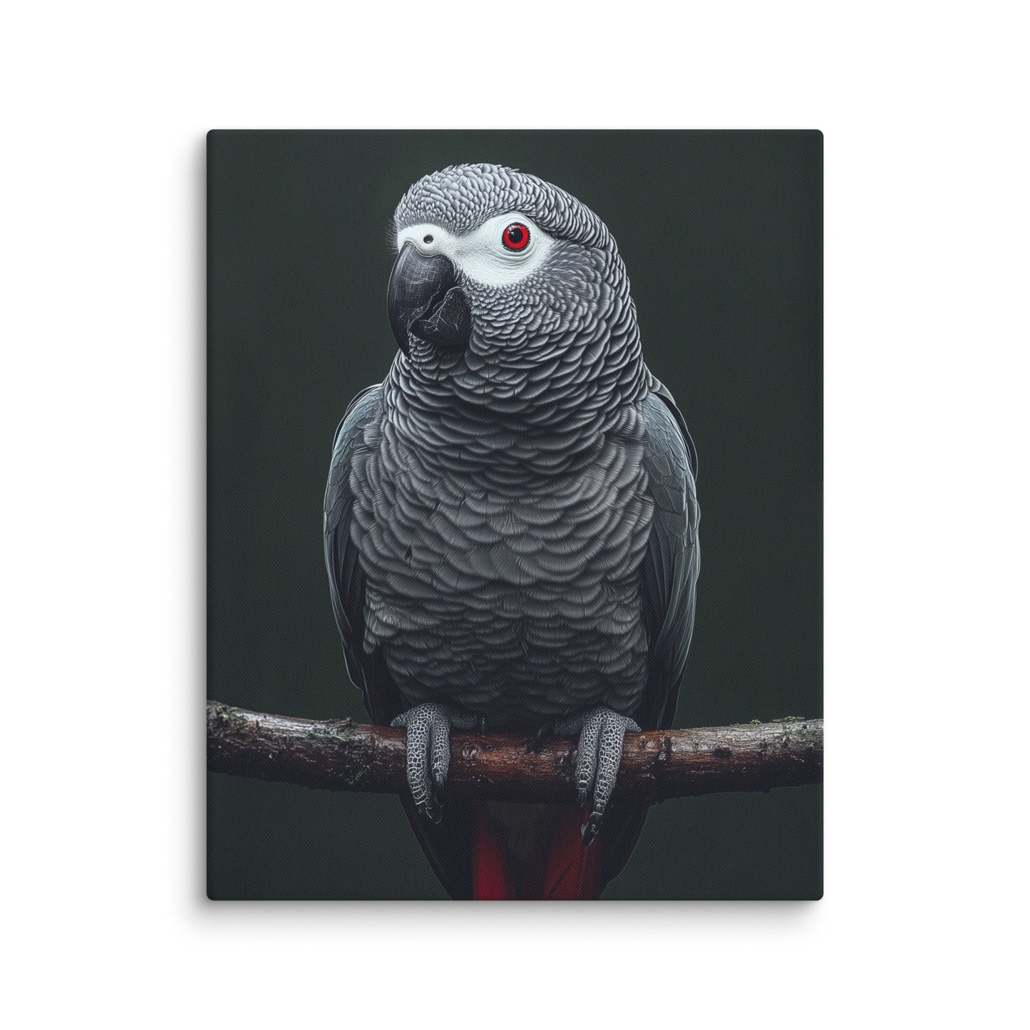 Tableau Gris du Gabon - Perroquet Exotique Affiches, reproductions et œuvres graphiques Art Virtuoso M