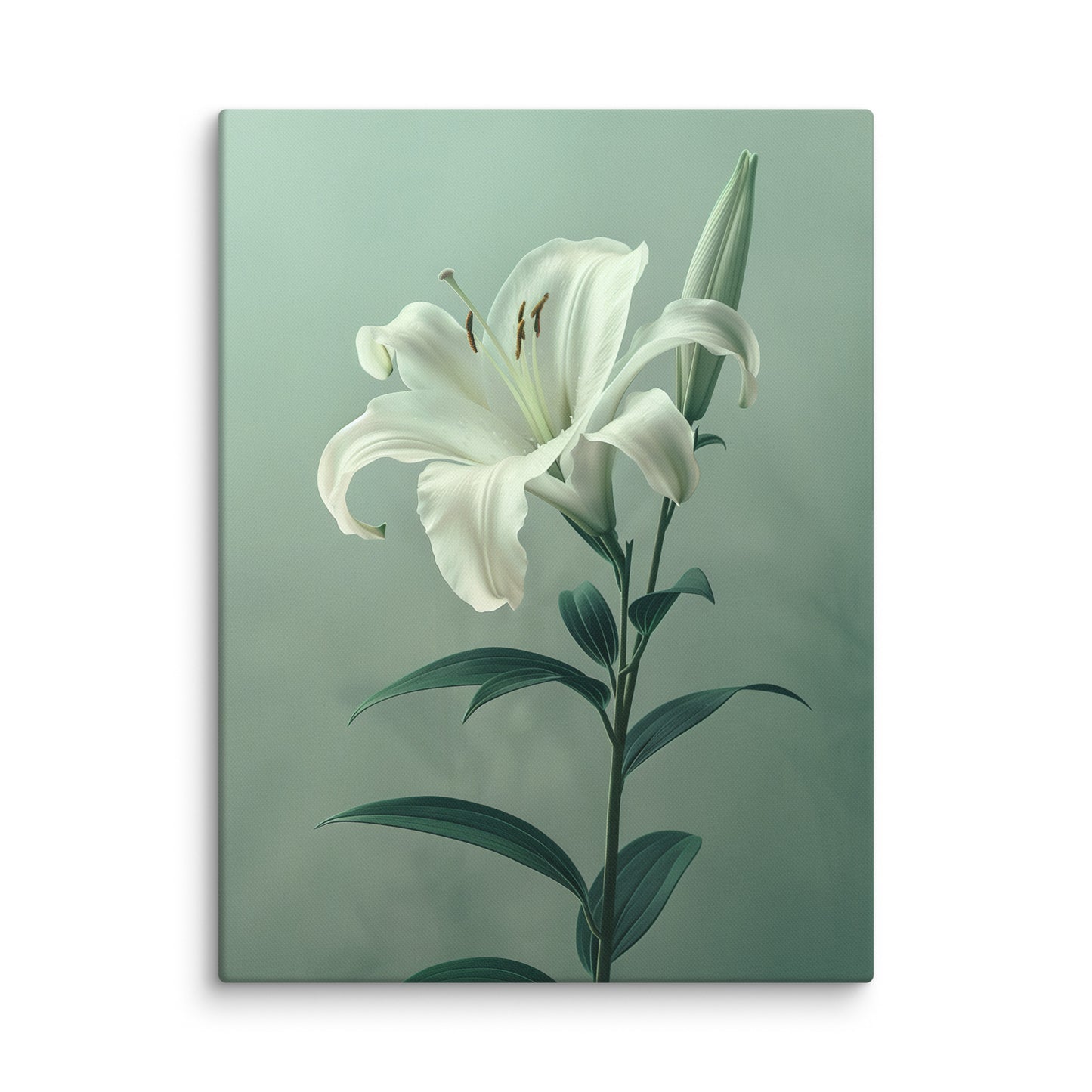 Fleur Peinture - Lys Blanc Art Virtuoso L