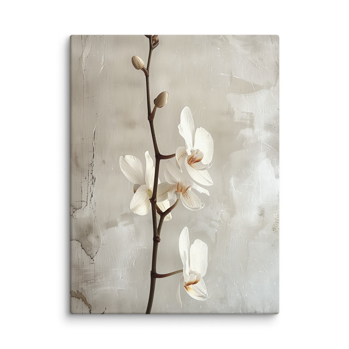 Tableau Orchidée Blanche Art Virtuoso L