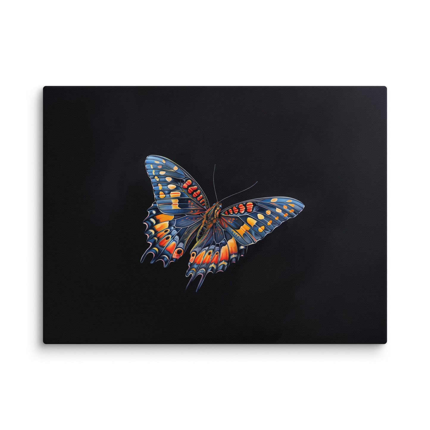 Tableau Sur Fond Noir avec Papillon Éclatant Affiches, reproductions et œuvres graphiques Art Virtuoso L