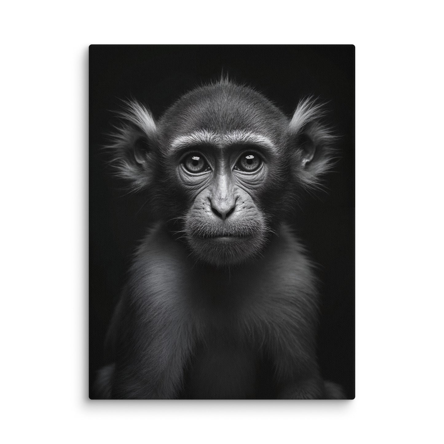 Tableau Singe Noir et Blanc Affiches, reproductions et œuvres graphiques Art Virtuoso L