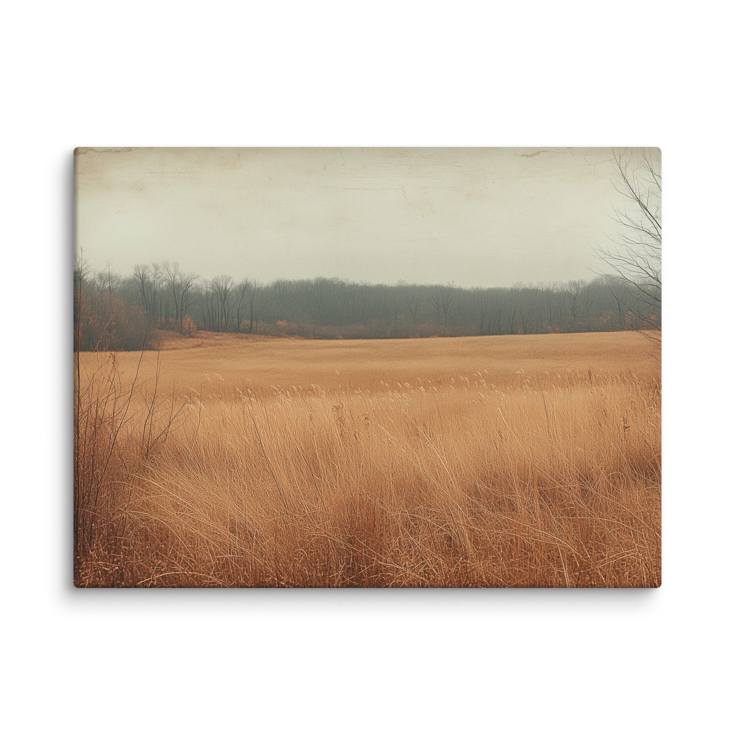 Tableau Paysage Simple - Champ d'Or Automnal Affiches, reproductions et œuvres graphiques Art Virtuoso L