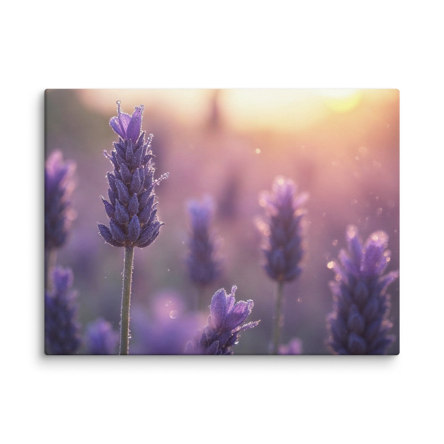 Tableau Photo Chambre - Lavande au Crépuscule Affiches, reproductions et œuvres graphiques Art Virtuoso L