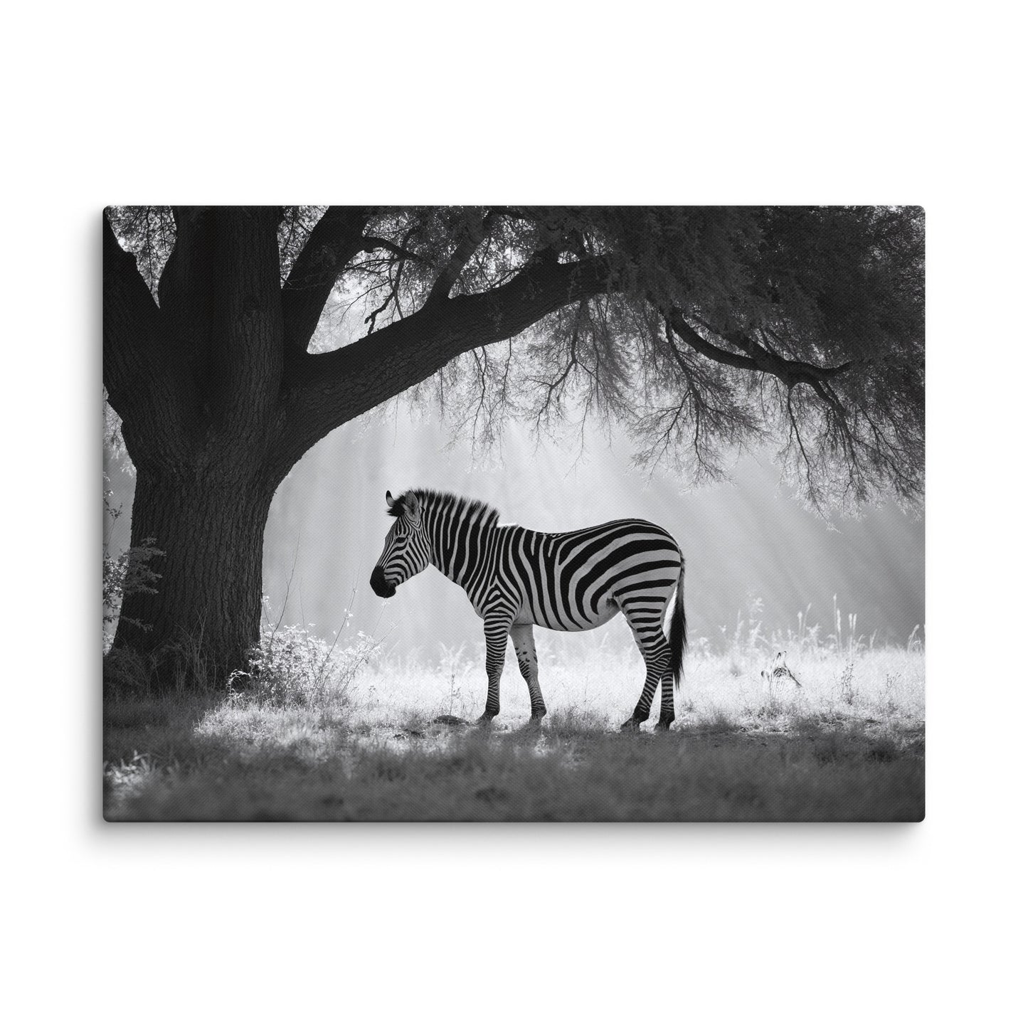 Tableau Photo Zèbre - Silhouette Sauvage Affiches, reproductions et œuvres graphiques Art Virtuoso L
