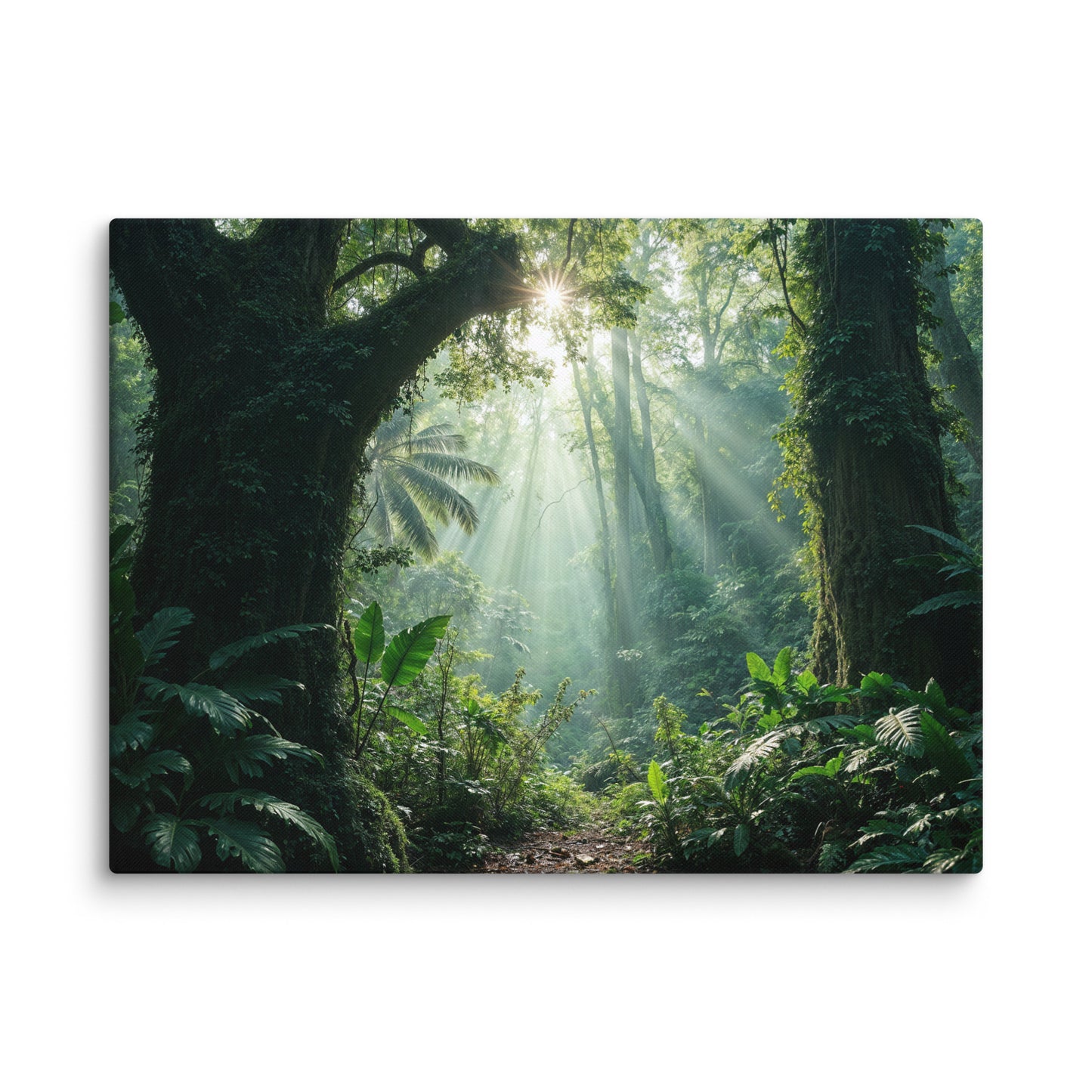 Tableau Photo Jungle - Trouée de Lumière Affiches, reproductions et œuvres graphiques Art Virtuoso L