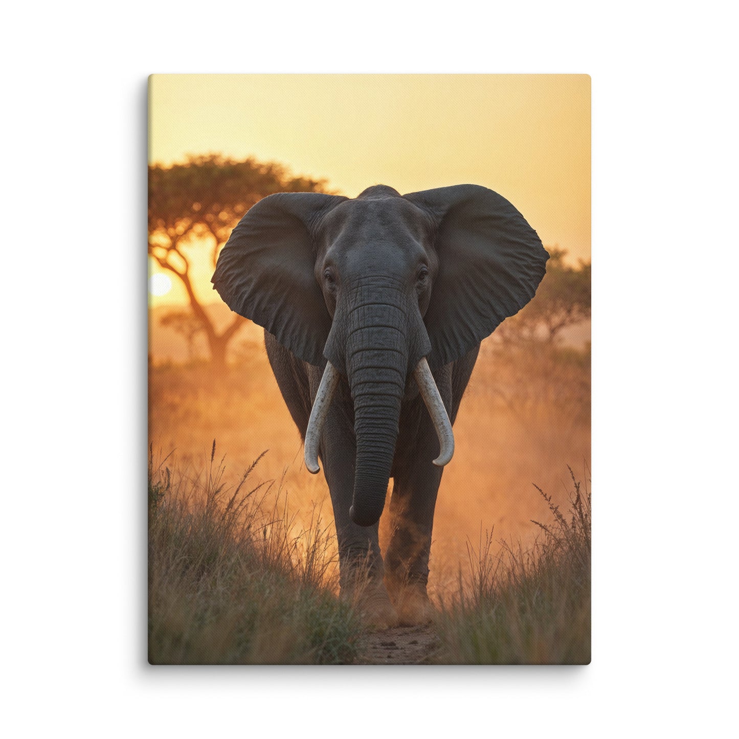 Tableau Photo Elephant - Majesté d'Afrique Affiches, reproductions et œuvres graphiques Art Virtuoso L