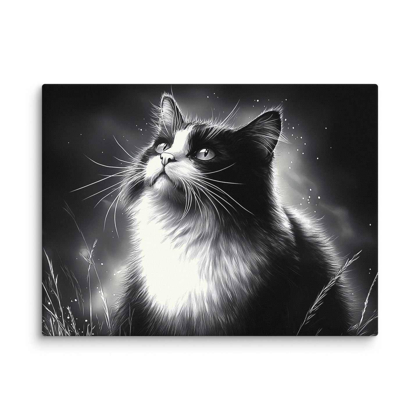 Tableau Peinture Chat Noir et Blanc - Rêverie Nocturne Affiches, reproductions et œuvres graphiques Art Virtuoso L