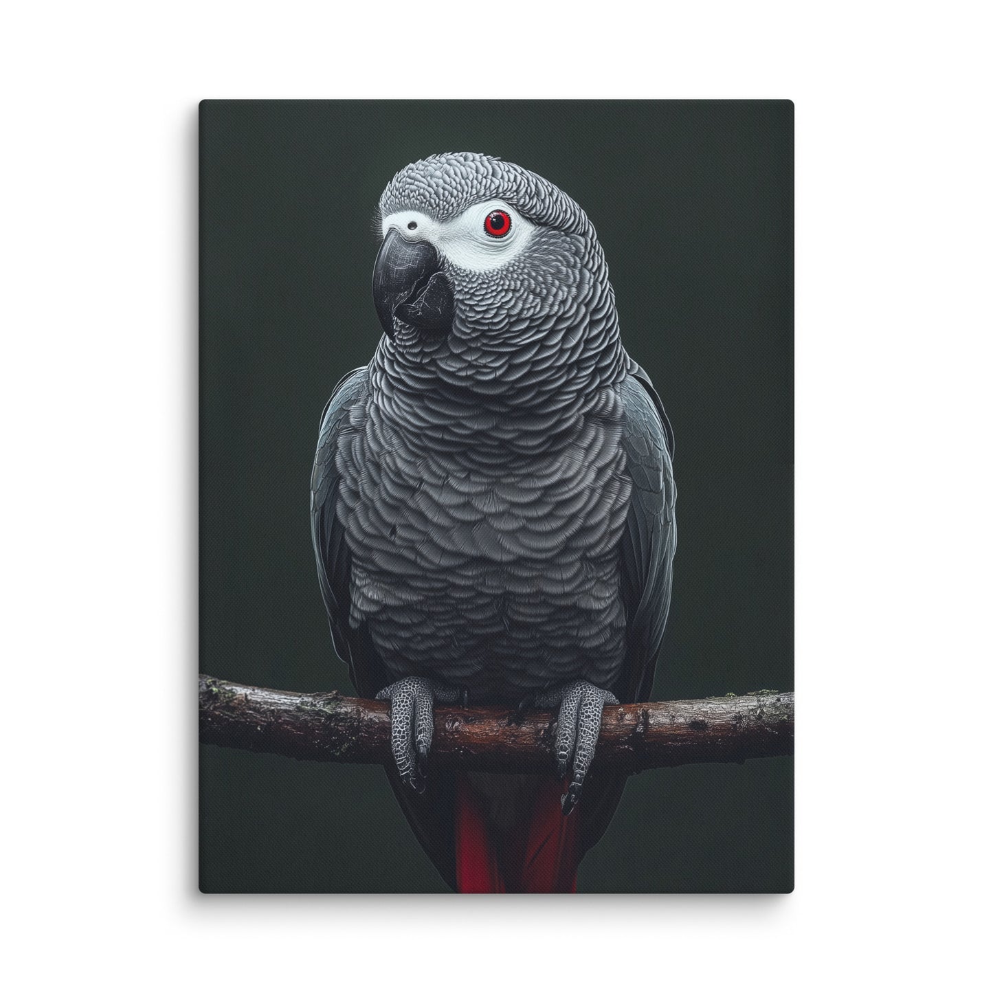 Tableau Gris du Gabon - Perroquet Exotique Affiches, reproductions et œuvres graphiques Art Virtuoso L
