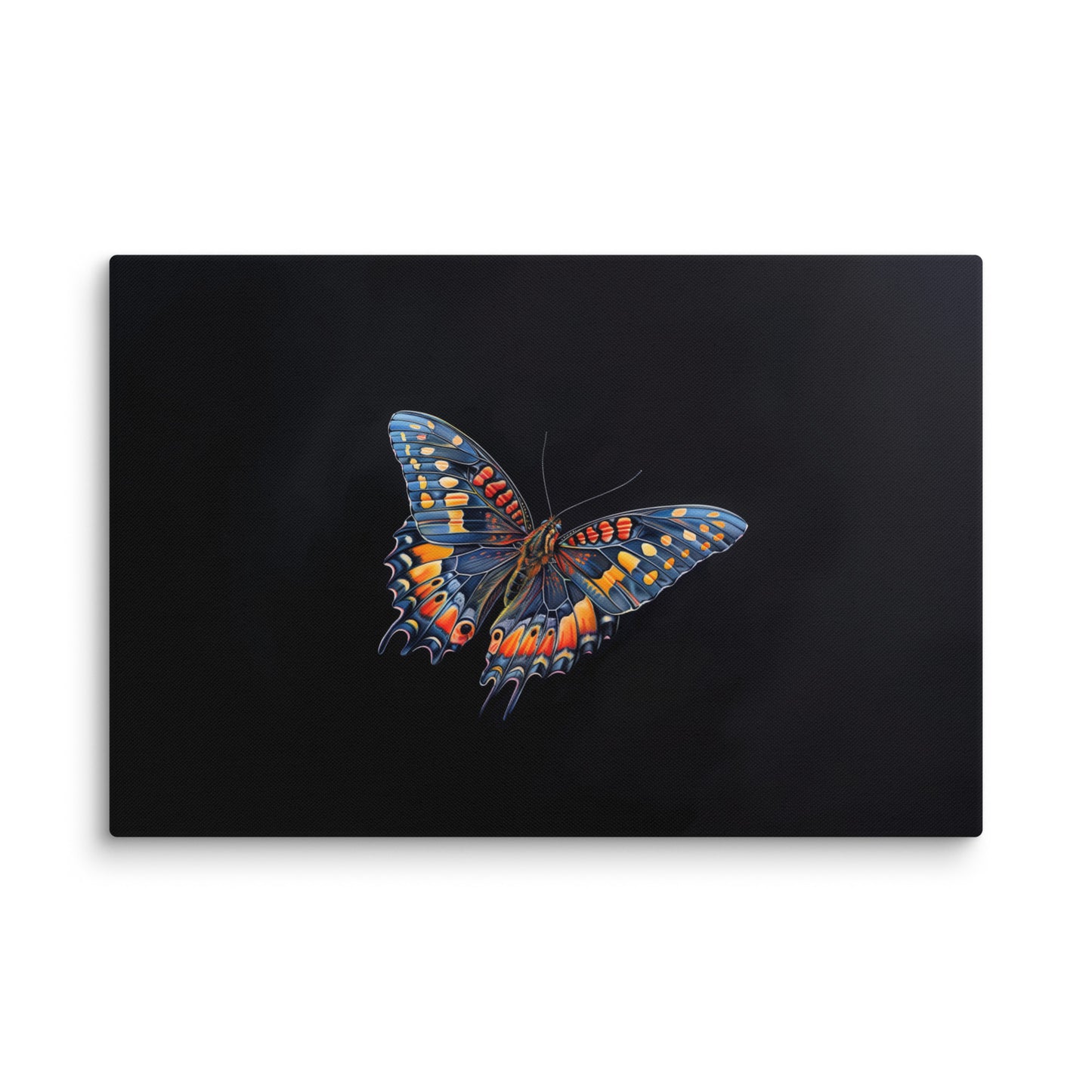 Tableau Sur Fond Noir avec Papillon Éclatant Affiches, reproductions et œuvres graphiques Art Virtuoso XL