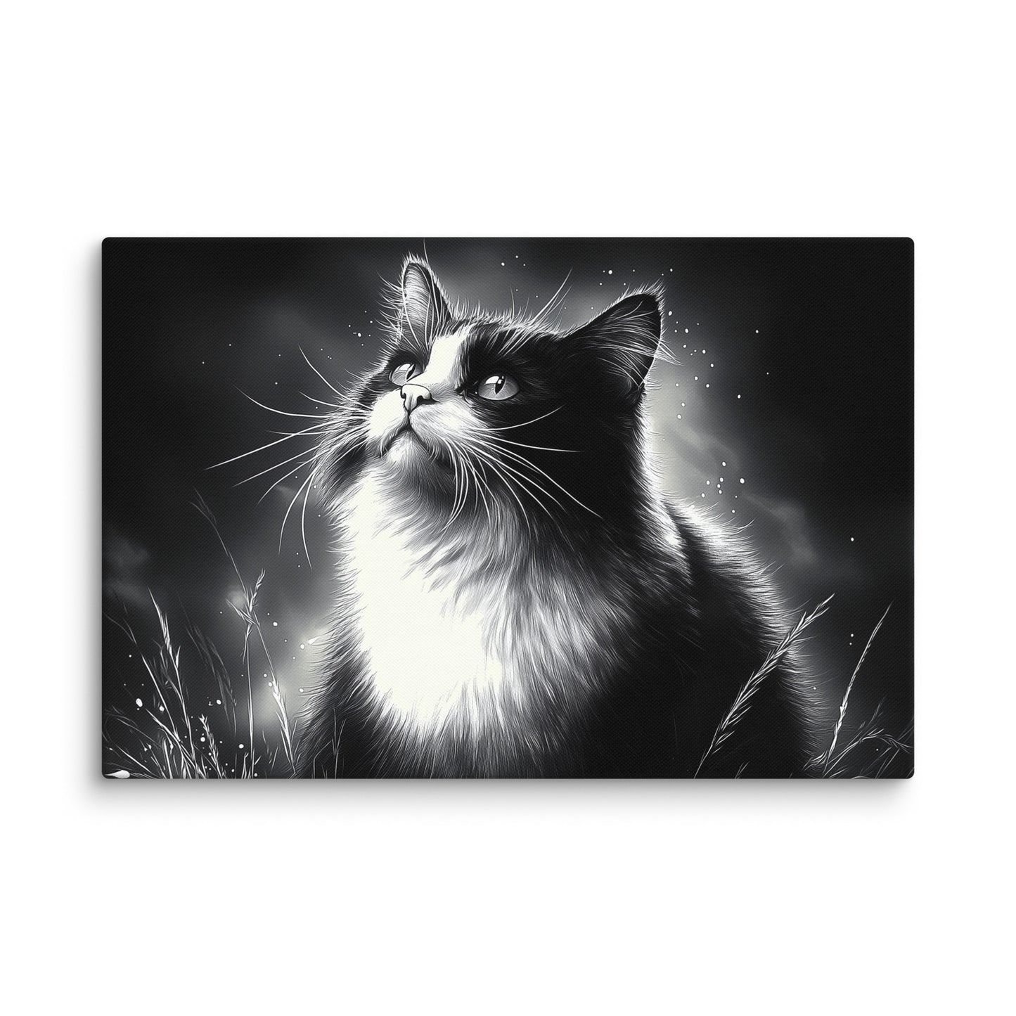 Tableau Peinture Chat Noir et Blanc - Rêverie Nocturne Affiches, reproductions et œuvres graphiques Art Virtuoso XL