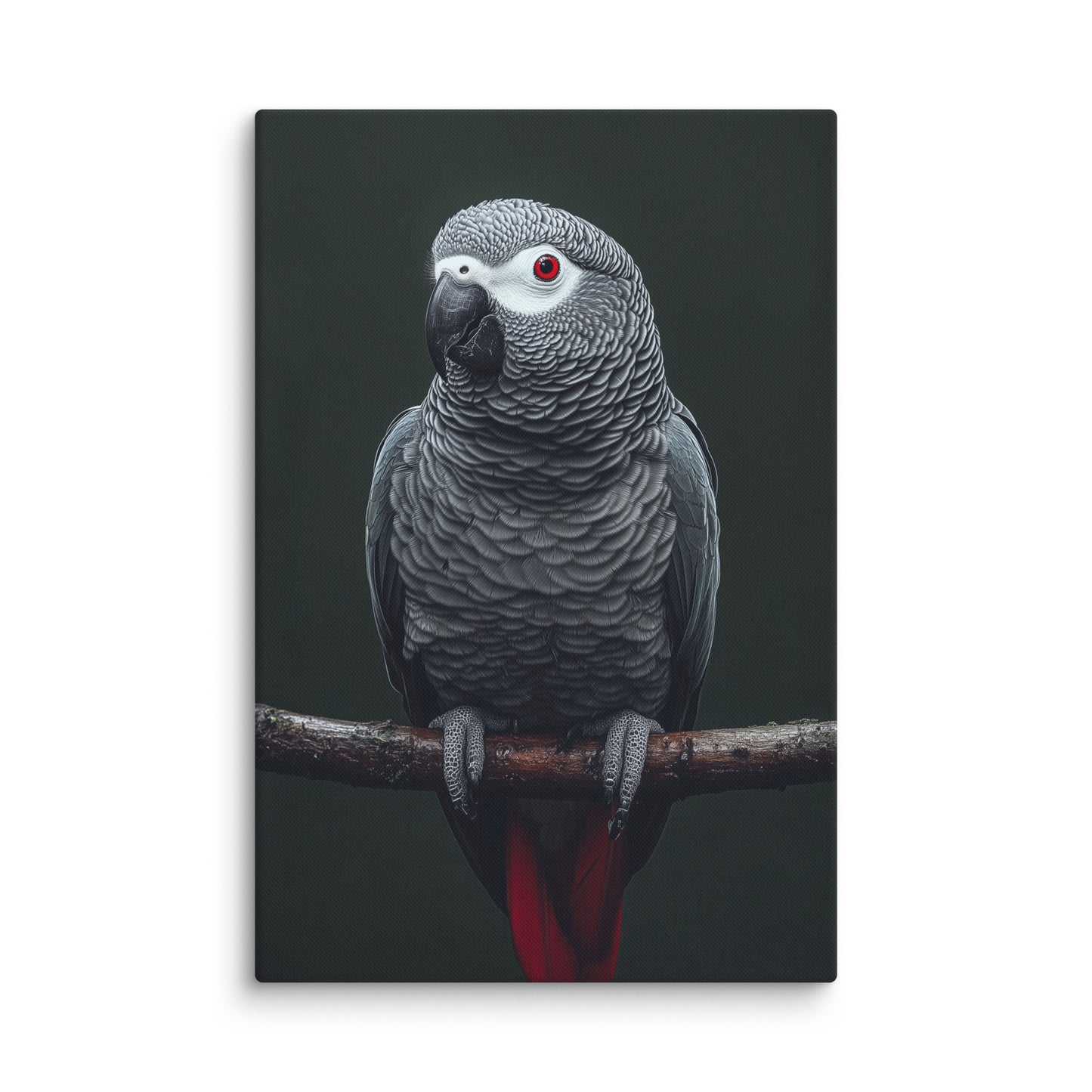 Tableau Gris du Gabon - Perroquet Exotique Affiches, reproductions et œuvres graphiques Art Virtuoso XXL