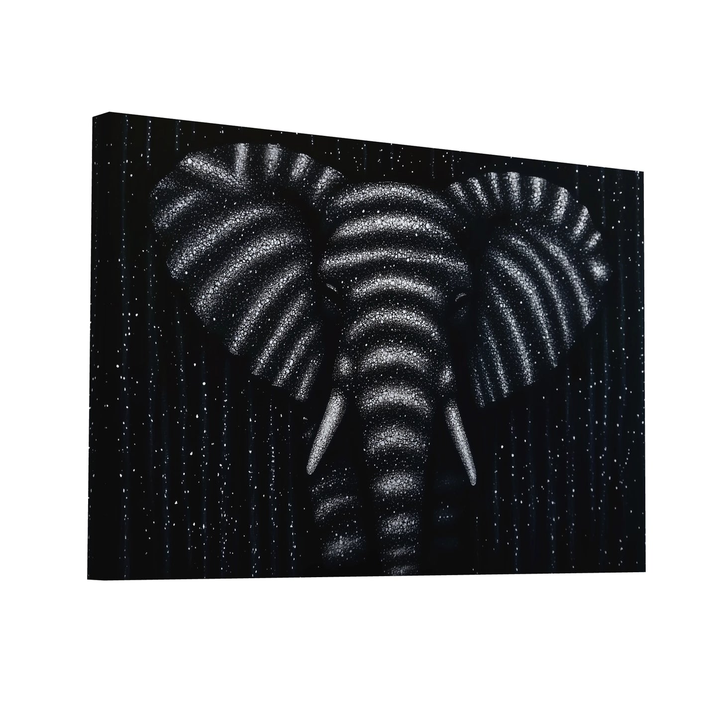 Product Hero 3D WebP Tableau Déco Éléphant - Mystère en Noir et Blanc - Art Virtuoso