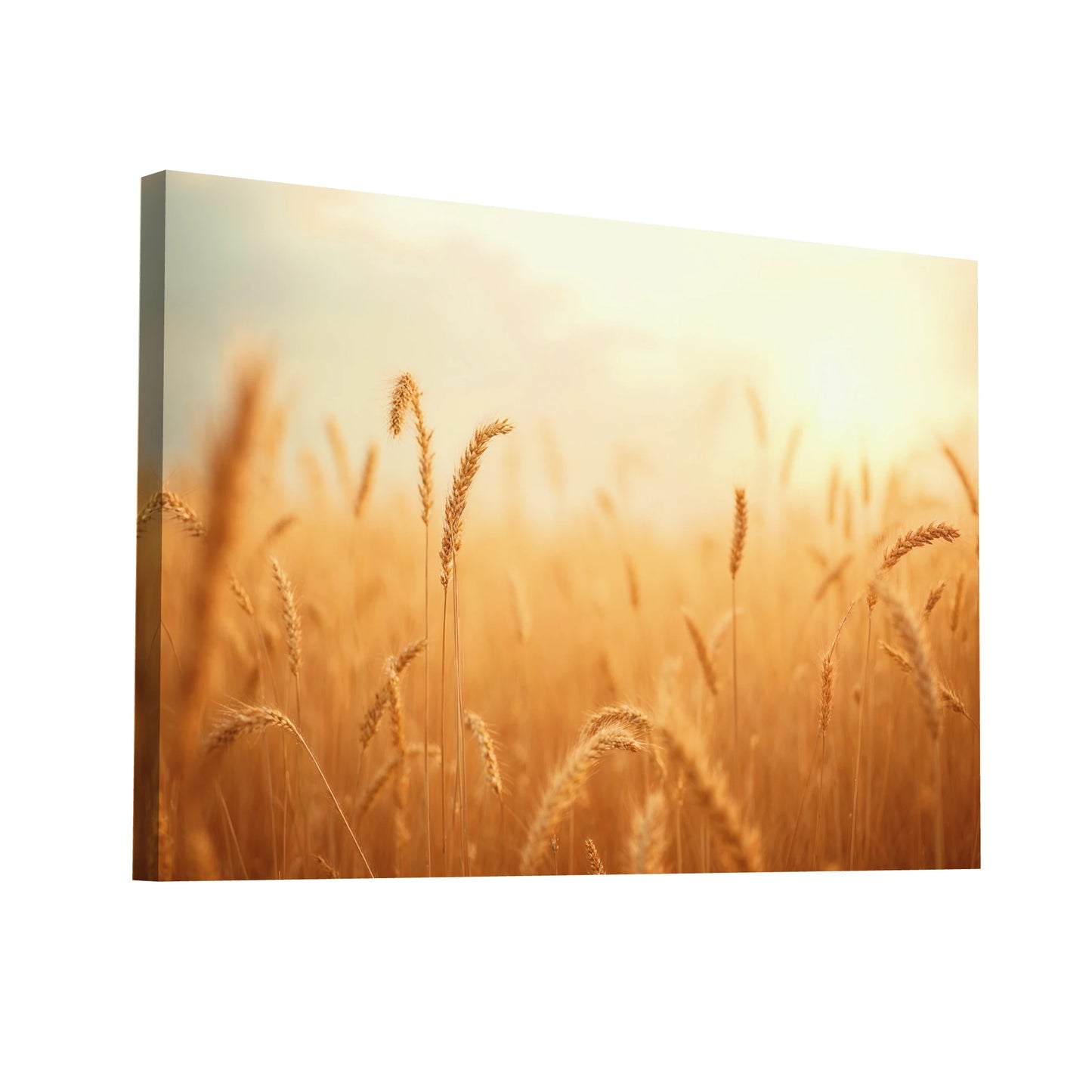 Product Hero 3D WebP Tableau Photo Sur Toile - Champ d'Or - Art Virtuoso