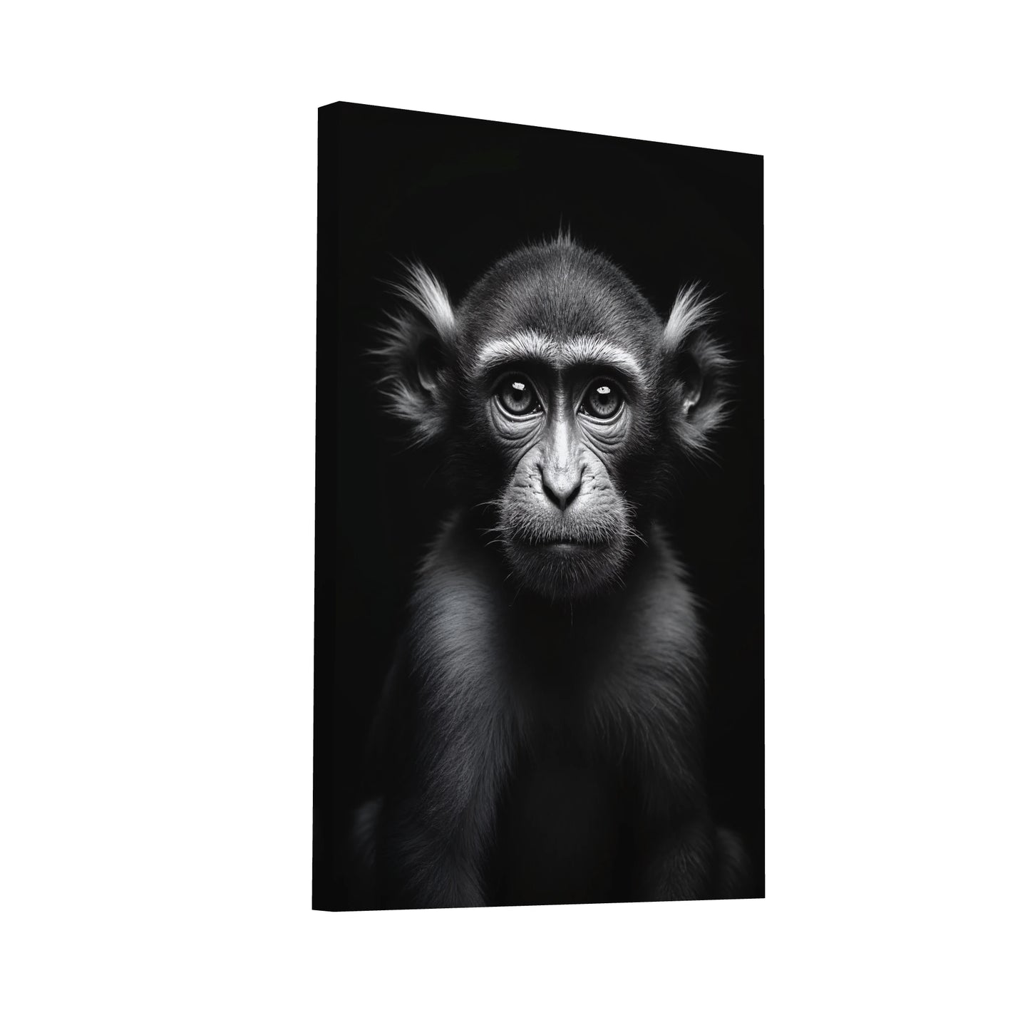 Product Hero 3D WebP Tableau Singe Noir et Blanc - Art Virtuoso