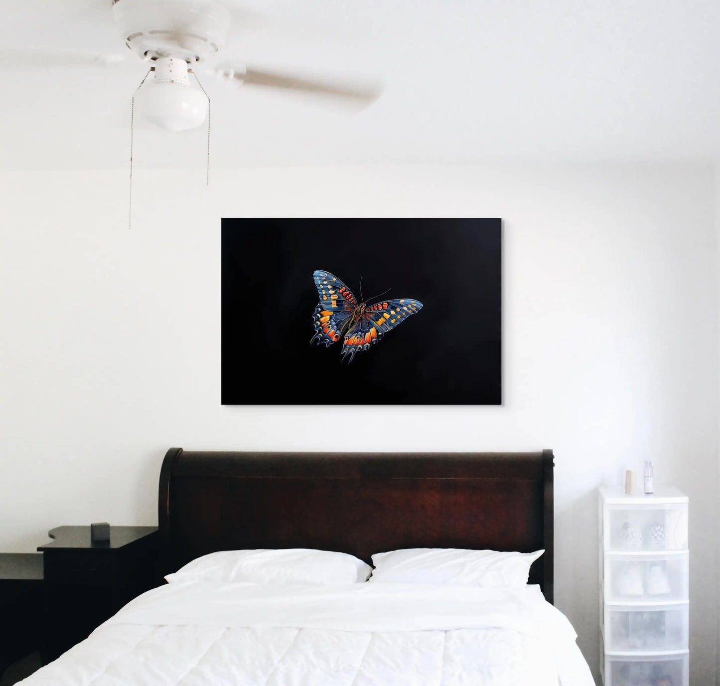 Tableau Sur Fond Noir avec Papillon Éclatant Affiches, reproductions et œuvres graphiques Art Virtuoso