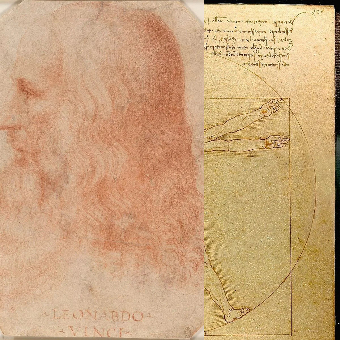 Portrait de Léonard de Vinci associé à l’Homme de Vitruve