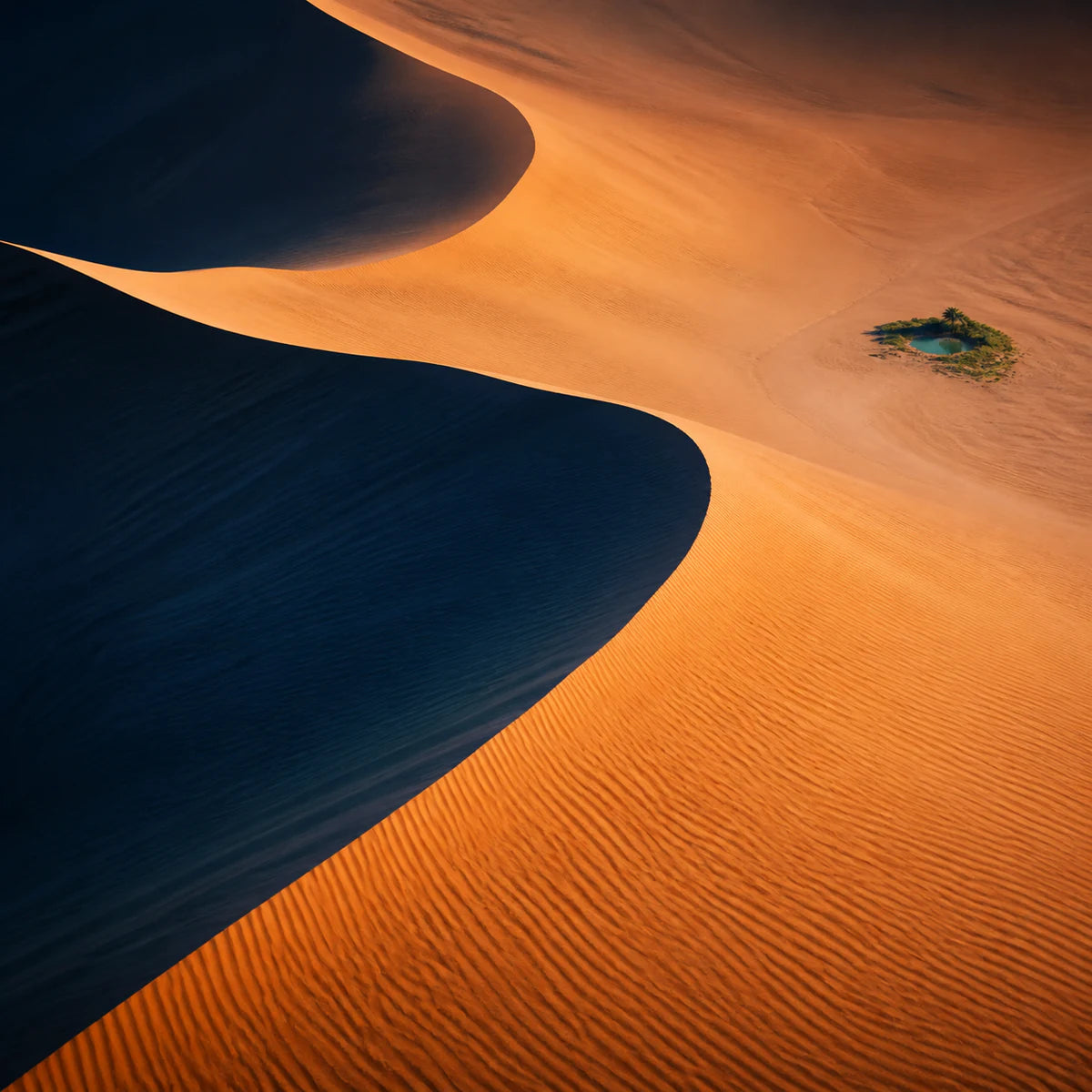 Dunes croisées sculptées par la lumière pour la collection d’affiches de déserts
