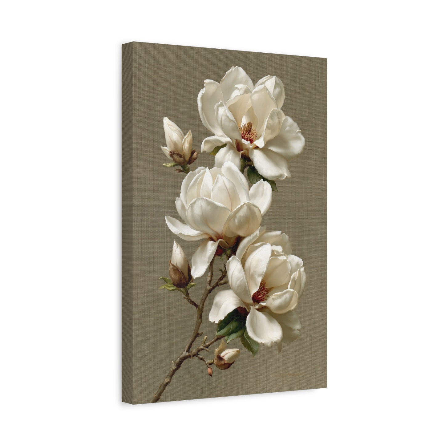 Tableau Beige Blanc - Magnolia