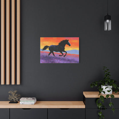 Vue zoom sur la silhouette du cheval sauvage