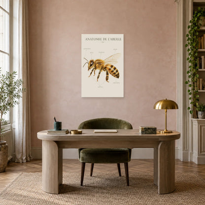 Affiche Anatomie de l’abeille – Planche moderne dans un bureau - Art Virtuoso