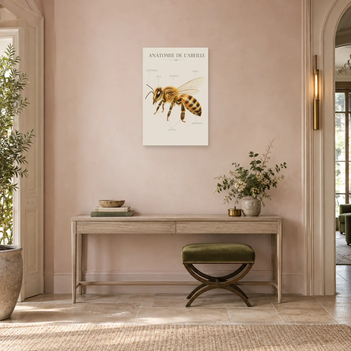 Affiche Anatomie de l’abeille – Planche moderne dans une entrée ou un couloir - Art Virtuoso