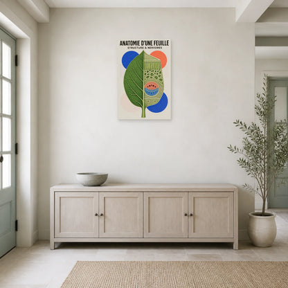 Affiche Anatomie d'Une Feuille – Structure & Nervures dans une entrée ou un couloir - Art Virtuoso