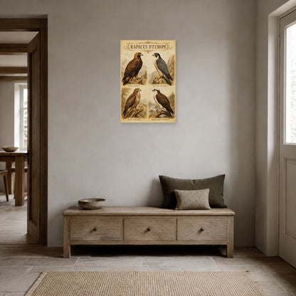 Affiche Rapaces d’Europe - Style ancien dans une entrée ou un couloir - Art Virtuoso