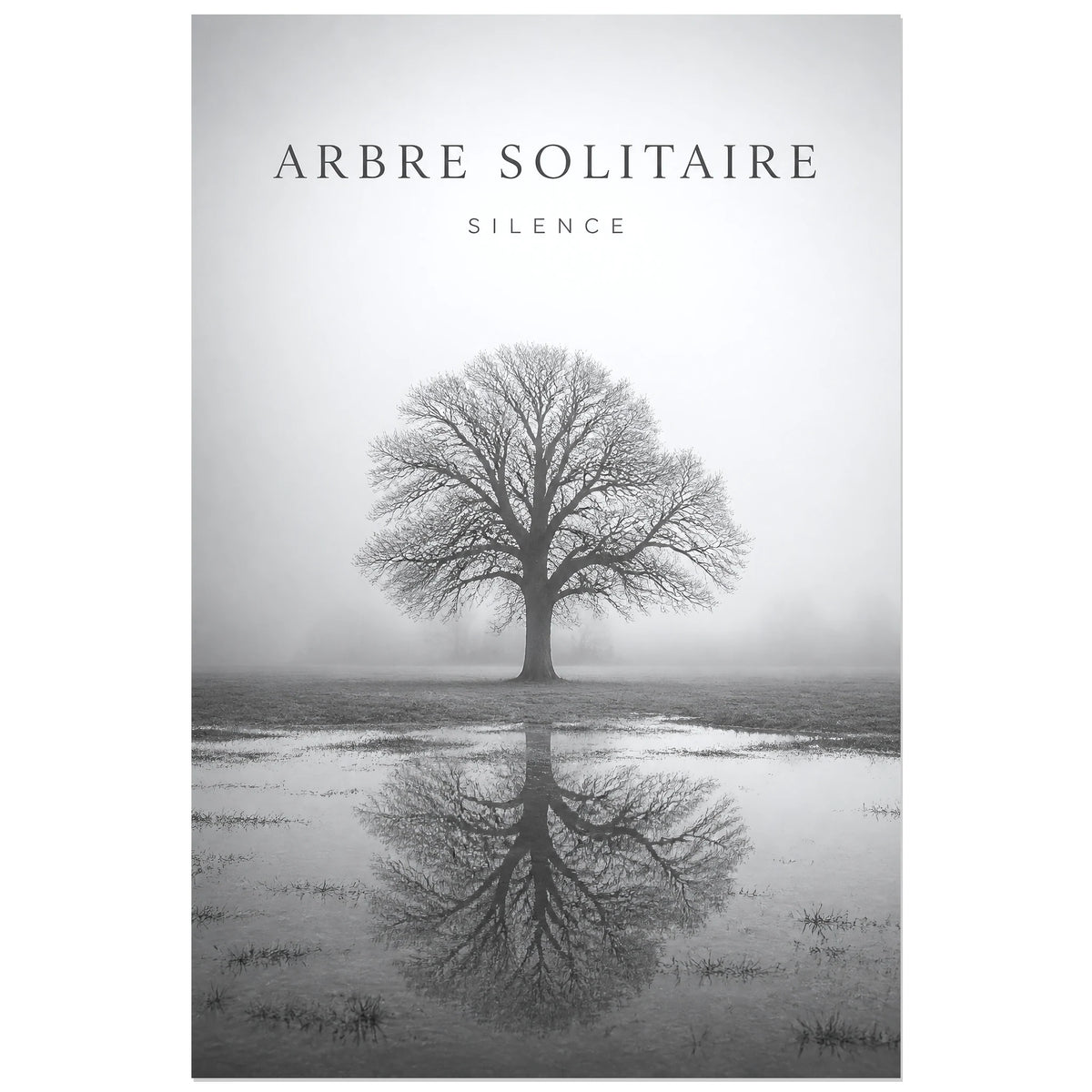 Affiche Arbre Solitaire – Silence, photographie minimaliste de paysage verticale, format 60 × 90 cm