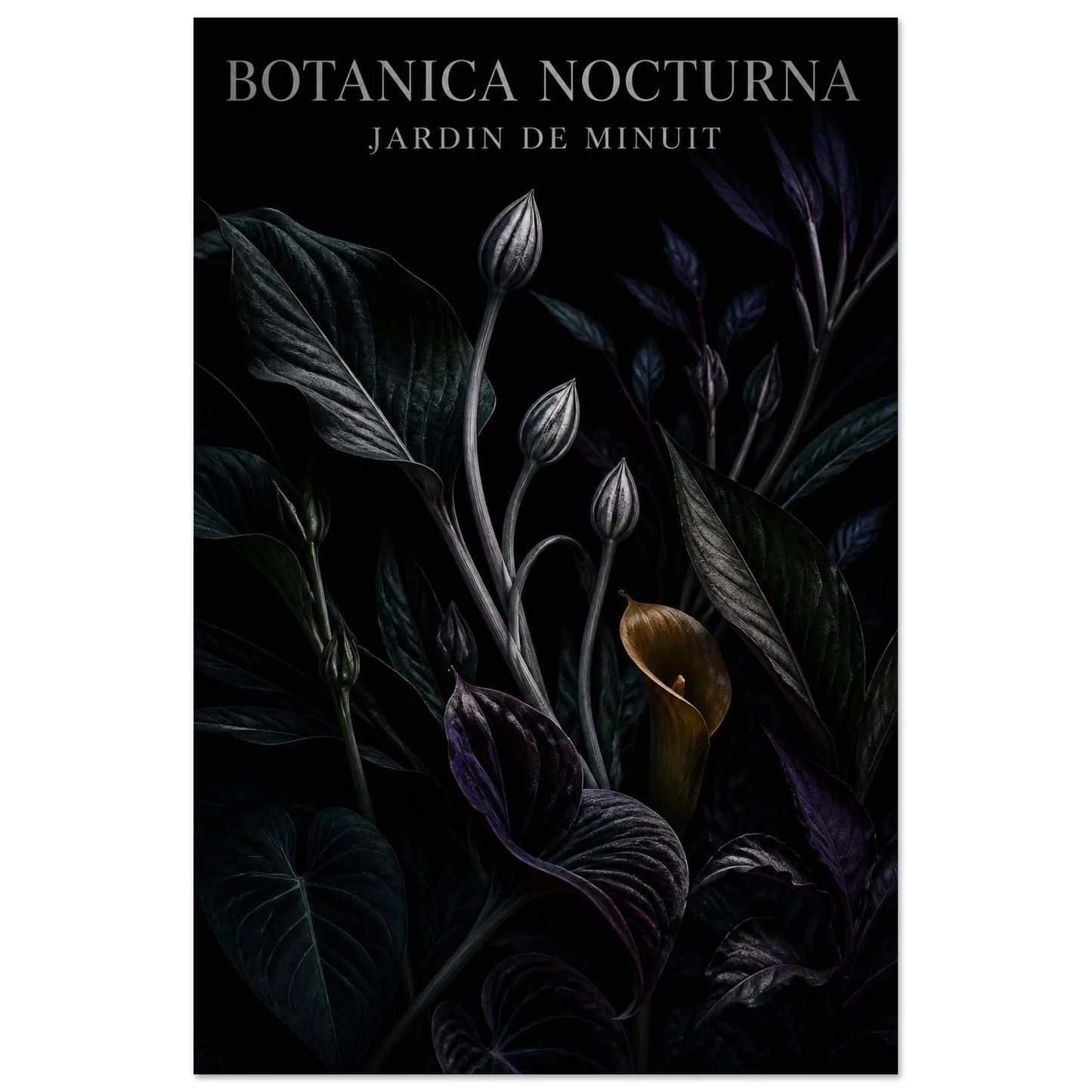 Affiche Botanica Nocturna – Jardin de Minuit, illustration éditoriale verticale, format 30 × 45 cm