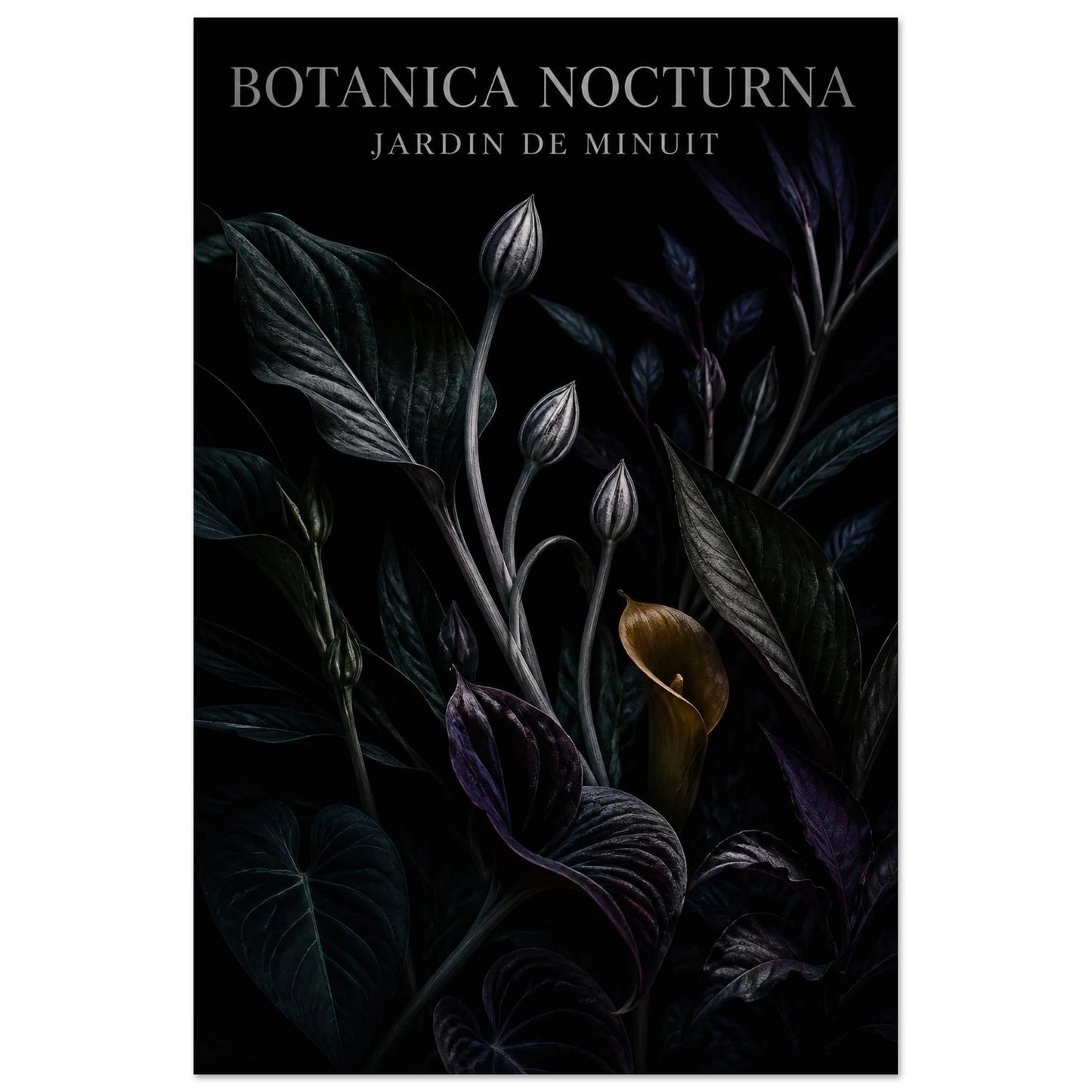 Affiche Botanica Nocturna – Jardin de Minuit, illustration éditoriale verticale, format 60 × 90 cm