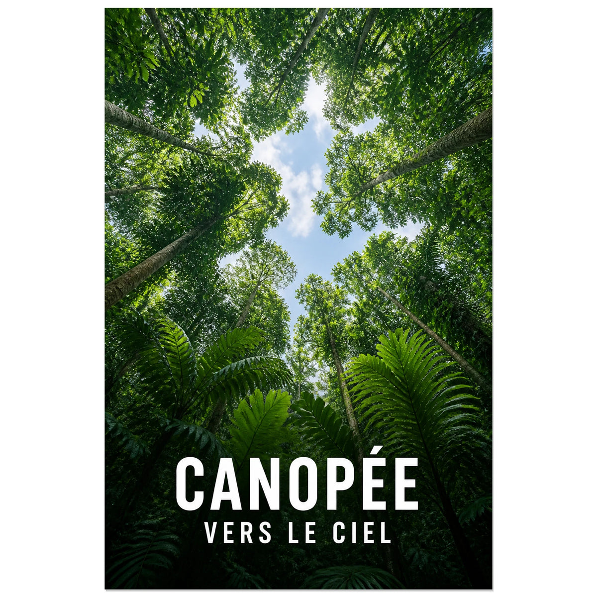 Affiche Canopée – Vers le ciel, photographie immersive de canopée en contre-plongée verticale, format 30 × 45 cm