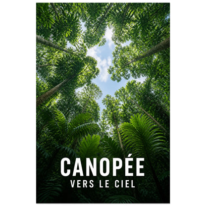 Affiche Canopée – Vers le ciel, photographie immersive de canopée en contre-plongée verticale, format 30 × 45 cm
