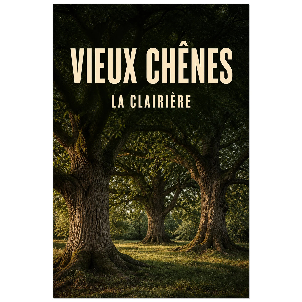 Affiche Vieux chênes – La clairière, photographie réaliste de chênes anciens en lumière dorée verticale, format 30 × 45 cm