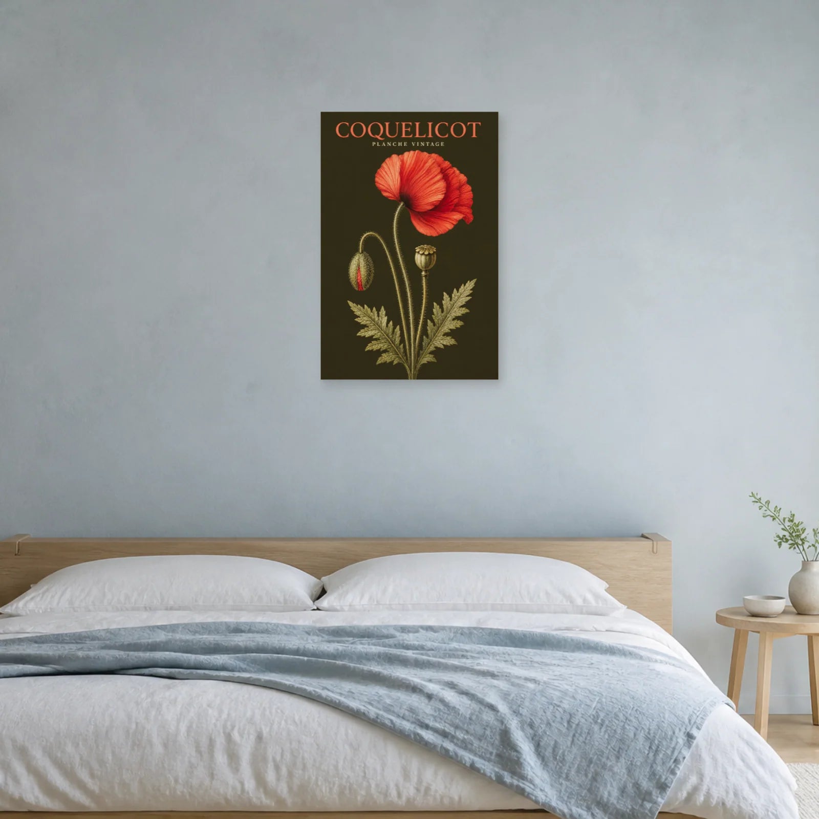 Affiche Coquelicot – Planche Vintage dans une chambre - Art Virtuoso