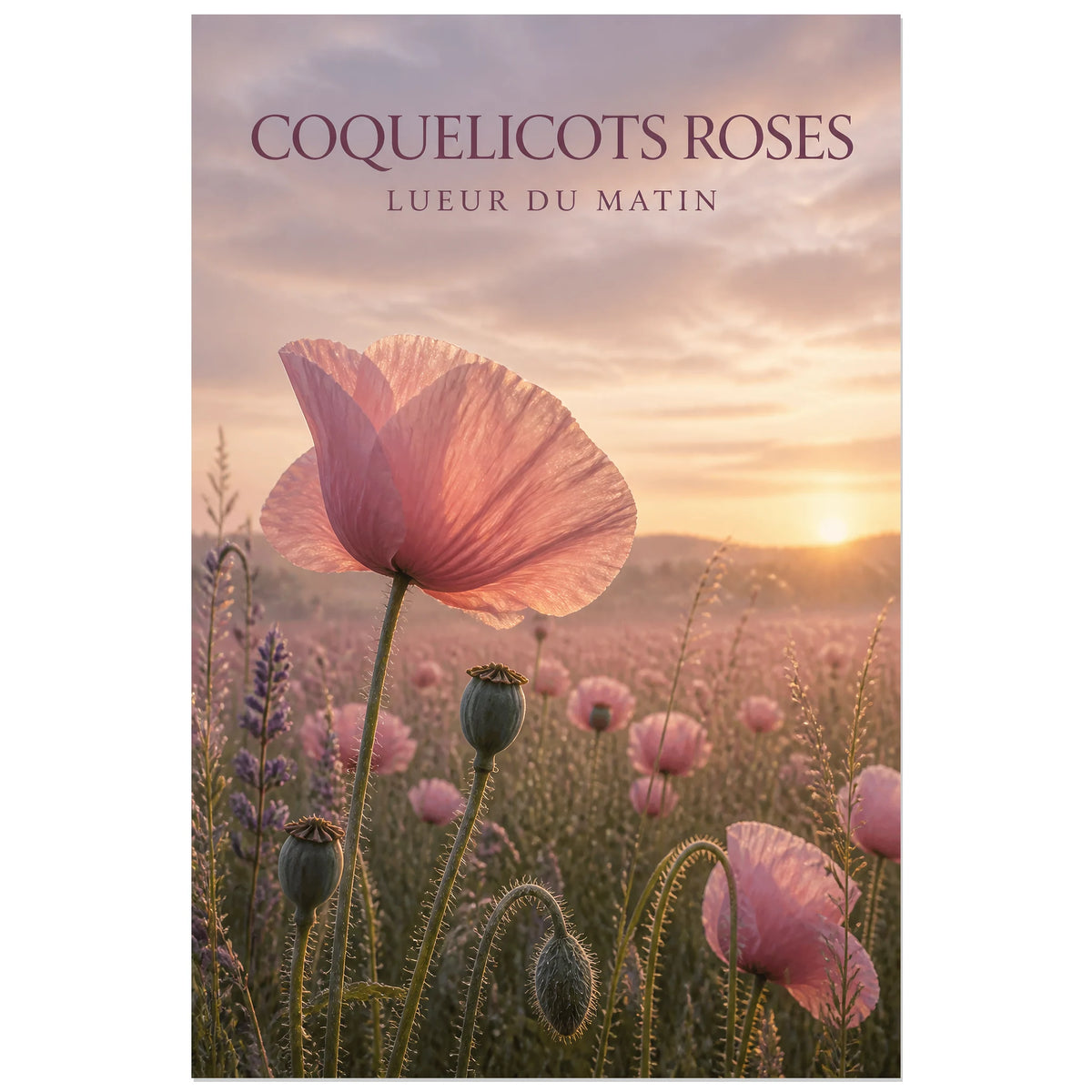 Affiche Coquelicots Roses – Lueur du Matin, photographie florale onirique verticale, format 40 × 60 cm