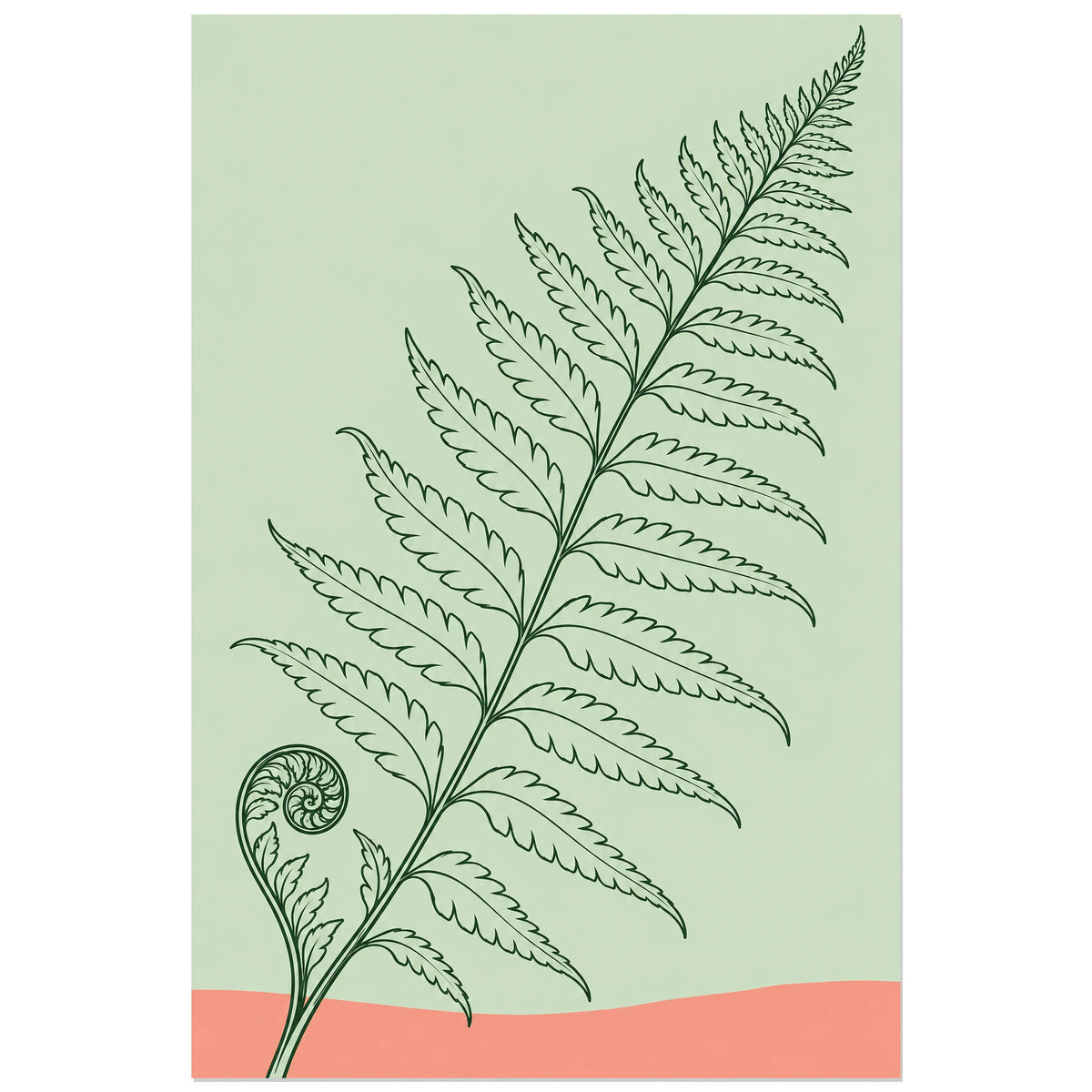 Affiche dessin au trait fougère déployée, dessin au trait / illustration linéaire / aplats colorés verticale, format 30 × 45 cm