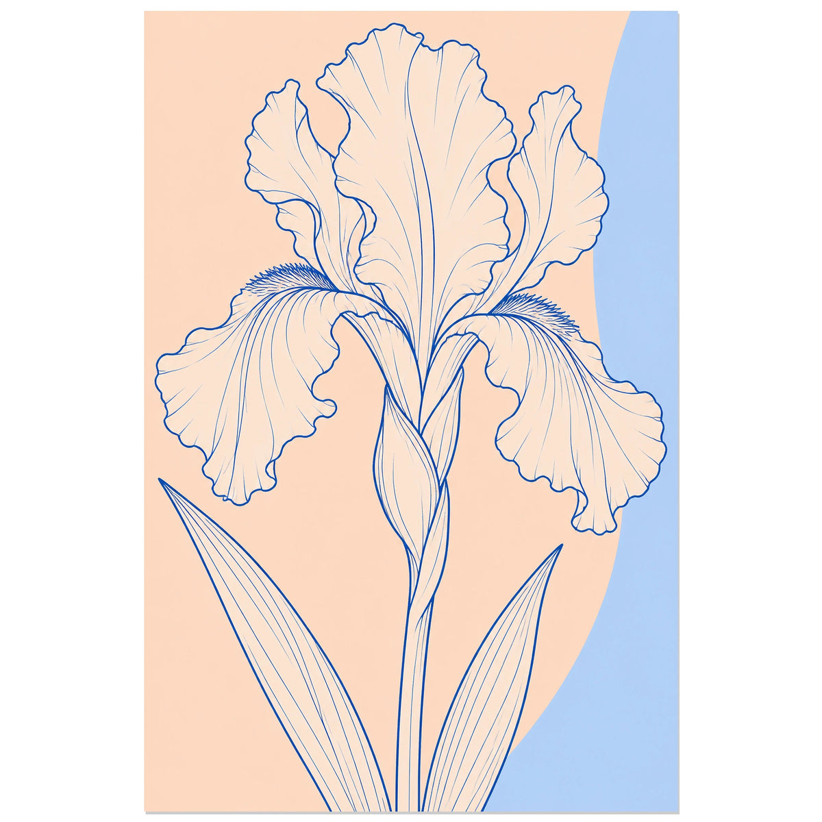 Affiche dessin au trait iris déplié, dessin au trait / illustration linéaire / aplats colorés verticale, format 30 × 45 cm