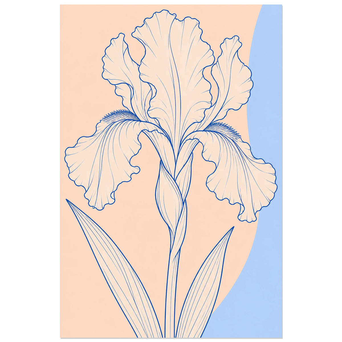 Affiche dessin au trait iris déplié, dessin au trait / illustration linéaire / aplats colorés verticale, format 60 × 90 cm