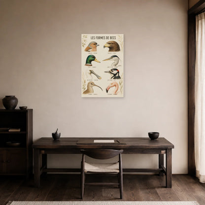 Affiche Les formes de becs des oiseaux dans un bureau - Art Virtuoso