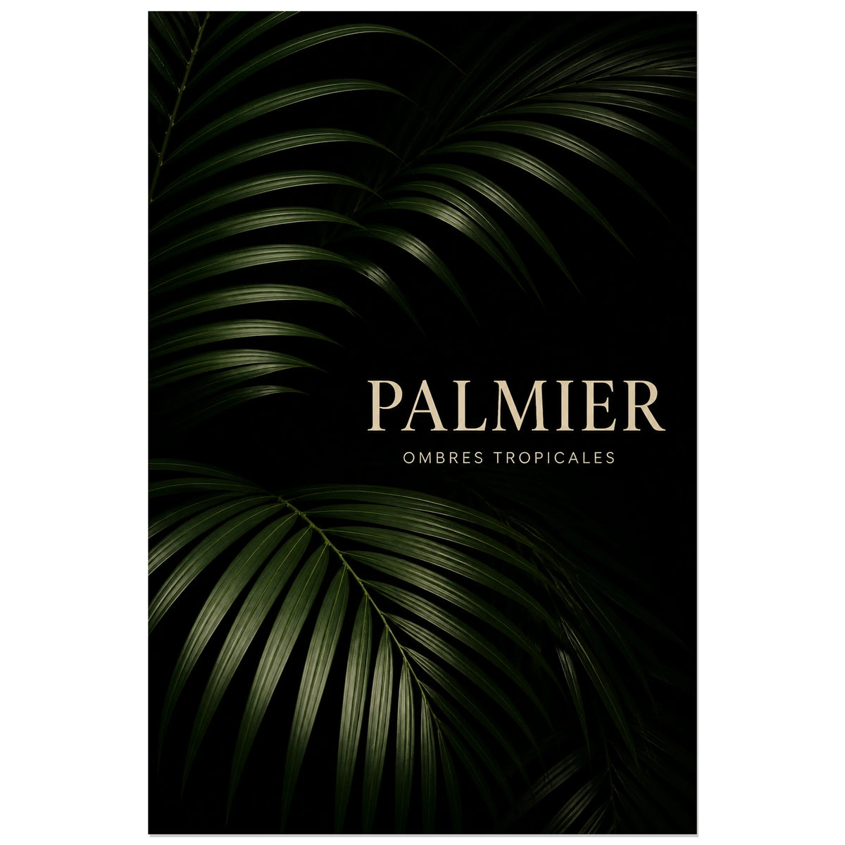Affiche Palmier – Ombres tropicales, photographie botanique sombre et minimaliste en studio verticale, format 30 × 45 cm