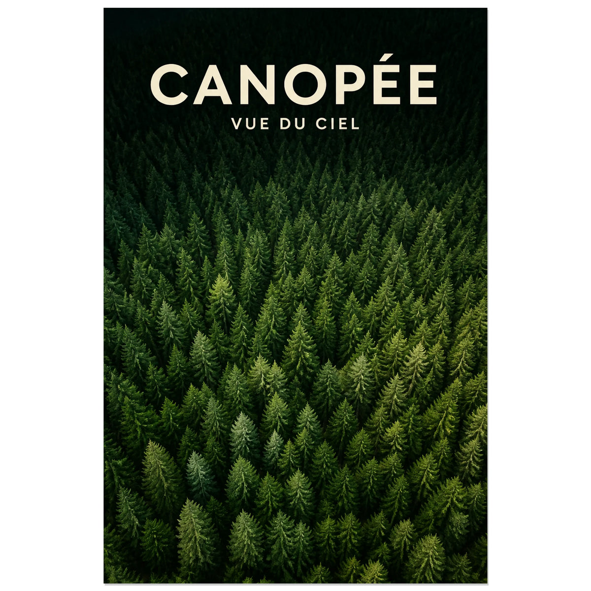 Affiche Canopée – Vue du ciel, photographie aérienne de forêt réaliste et immersive verticale, format 30 × 45 cm