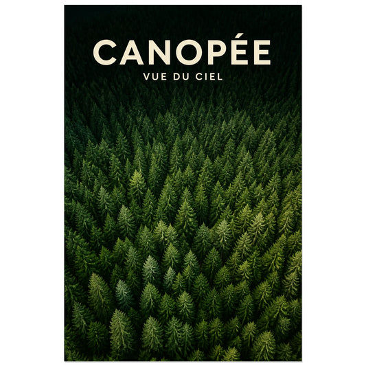 Affiche Canopée – Vue du ciel, photographie aérienne de forêt réaliste et immersive verticale, format 30 × 45 cm