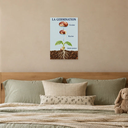 Affiche Germination - Le réveil du haricot dans une chambre - Art Virtuoso