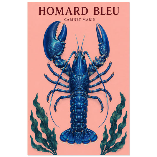 Affiche Homard bleu – Cabinet marin, planche naturaliste / affiche vintage verticale, format 30 × 45 cm