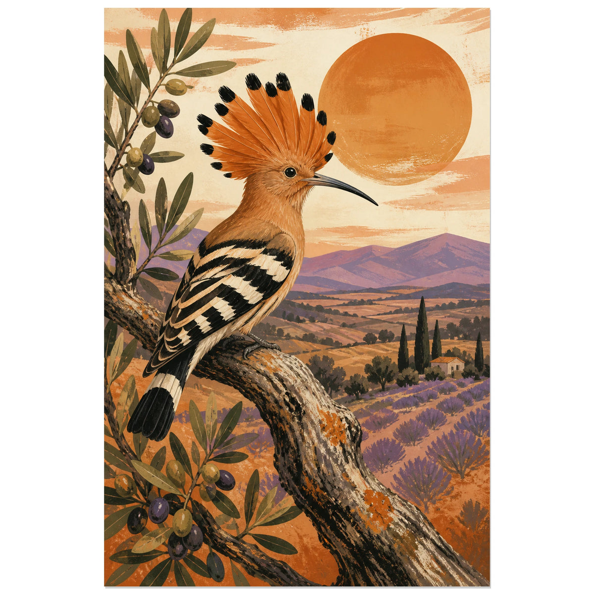 Affiche Huppe fasciée - Lumière de Provence, affiche méditerranéenne vintage en aplats texturés verticale, format 30 × 45 cm